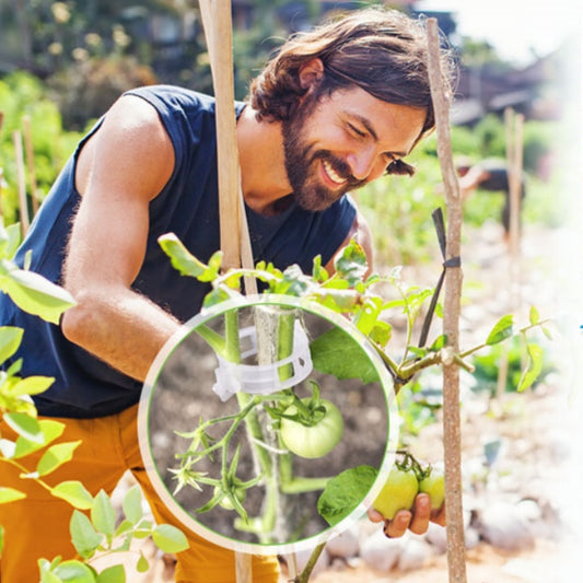 🍅🍅【 200 kusů】🌱Upevňovací klip pro pěstování sazenic