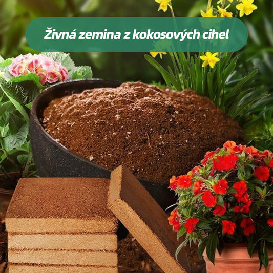 💥【300g 3 položky】🌱🌱 Výživná kokosová cihlová půda