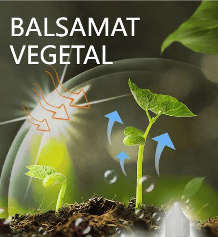 🎁【Kupte 3 a získejte 3 zdarma】🌱🌱Tekutý roztok, který aktivuje rostliny a květiny