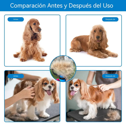 【compre uno y llévese otro gratis】🐾 Herramienta profesional para eliminar el pelo muerto de perros y gatos: suave, eficaz y un hogar libre de pelo ✨💖
