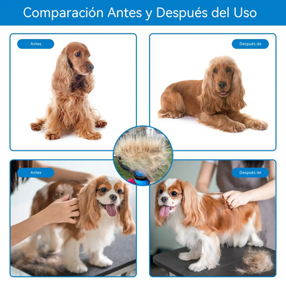 【compre uno y llévese otro gratis】🐾 Herramienta profesional para eliminar el pelo muerto de perros y gatos: suave, eficaz y un hogar libre de pelo ✨💖4295688