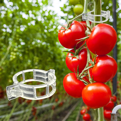 【🔥🔥1 σετ 200 τεμαχίων】22 ευρώ】Θυμάστε τον κήπο σας να καταρρέει από το βάρος των φρούτων; Με αυτά τα κλιπ, στηρίξτε τα πάντα.