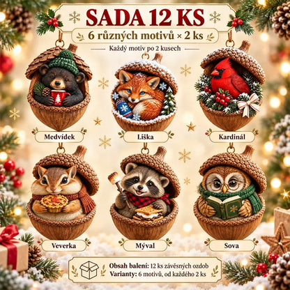 🎉【Kup 6, a otrzymasz 6 gratis】12 sztuk🤩 🎁Nowe, akrylowe dekoracje świąteczne 2D z szyszką sosnową i elementami zwierzęcymi