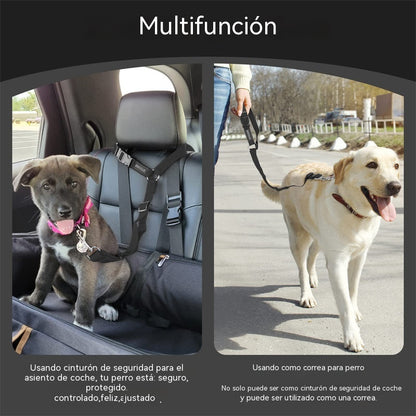 [2 pieza 23 euros] Cinturón de seguridad para perros y correa para pasear (2 en 1)
