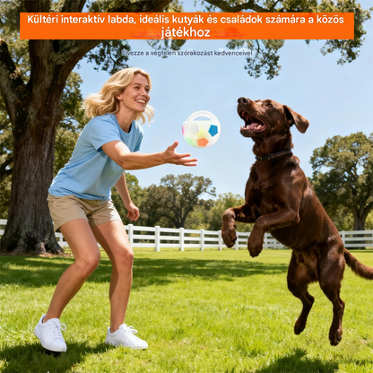 ⚽🐕🔥Kutyajáték - focilabda, interaktív harapásbiztos kiegészítő, border collie-knak, labradoroknak és corgi kutyáknak. - 4202062