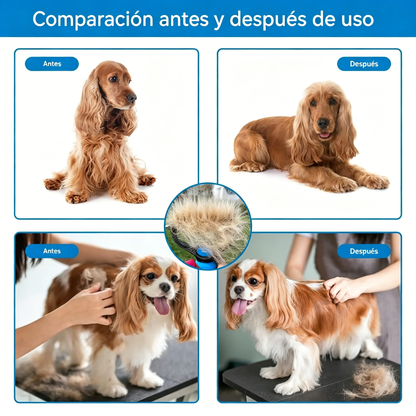 🐾 Cepillo profesional para eliminar el pelo muerto de perros y gatos: ¡Suave, eficaz y un hogar sin pelo! ✨💖