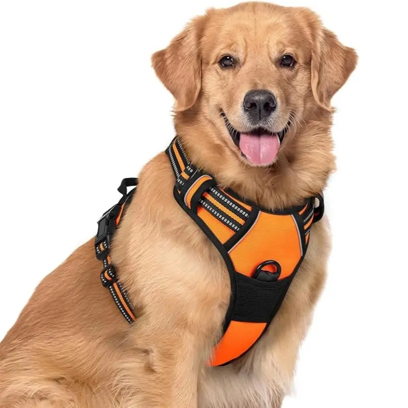 🦮Correa antitirones diseñada para perros