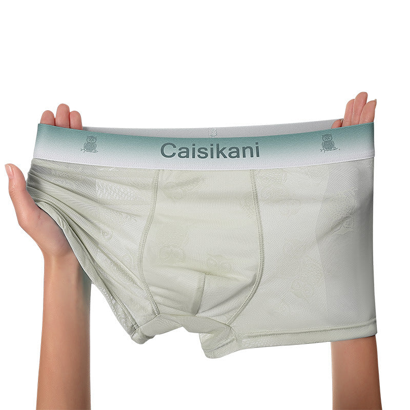 🎁【5 piezas】【L-4XL】Ropa interior de malla fina, transparente, sexy y transpirable para hombre