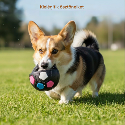 ⚽🐕🔥Kutyajáték - focilabda, interaktív harapásbiztos kiegészítő, border collie-knak, labradoroknak és corgi kutyáknak. - 4202062