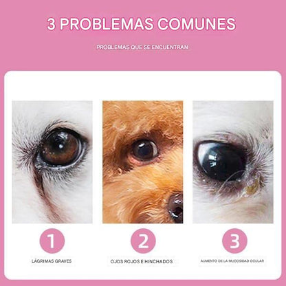 Toallitas limpiadoras para manchas de ojos de mascotas 🔥Elimina las manchas de lágrimas🔥
