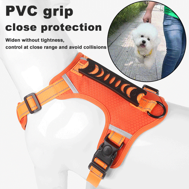 🐶【5–30 kg】Vodítko pro psy s postrojem, proti tahání, pro domácí mazlíčky.