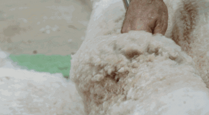 🔥🧣🎩 【Bestseller! 】❄️Novinka 2025: Dámská zateplená, teplá a větruodolná 🧣🎩 [módní zimní šála + plyšová čepice]