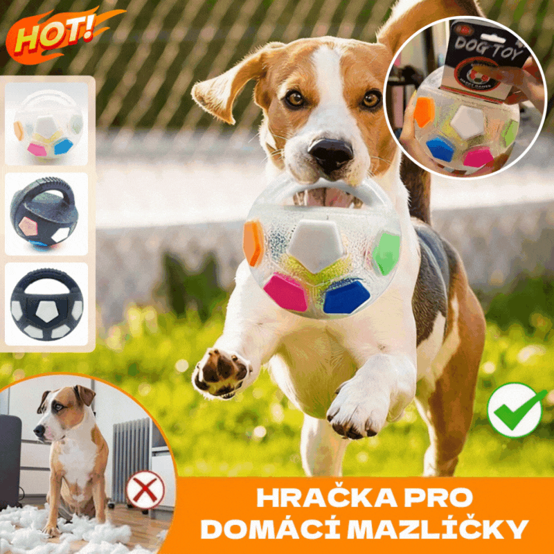 ⚽🐕🔥Hračka pro psy - fotbal, interaktivní a proti kousnutí odolné potřeby pro border kolie, labradory a corgi.