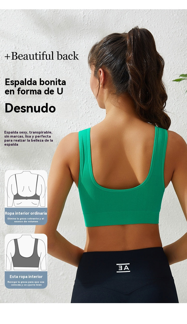 【4 artículos】【S-5XL】Sujetador push-up sexy sin aros y talla grande