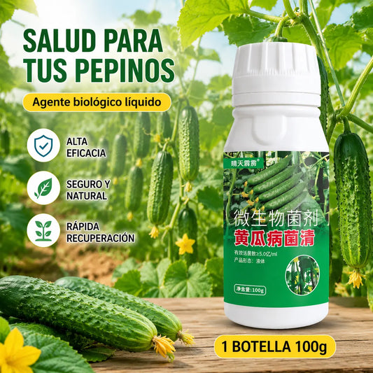 🥒【3 botellas(se puede diluir con 150 kg de agua)】Fungicida sistémico para pepinos – Control eficaz de bacteriosis, manchas amarillas y enfermedades foliares