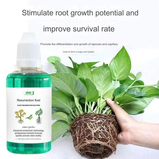 🎁【Kupte 3 a získejte 3 zdarma】🌱🌱Tekutý roztok, který aktivuje rostliny a květiny