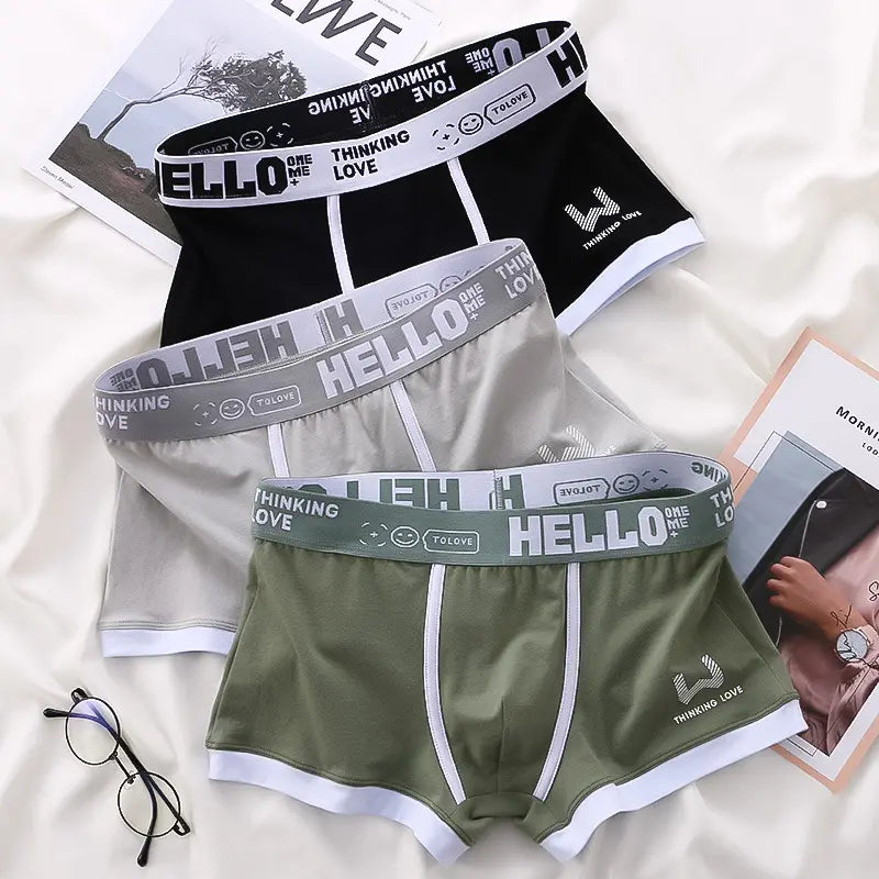 ⏳⏳[Oferta por tiempo limitado]🔥【6 piezas】Calzoncillos bóxer de algodón para hombre nuevos
