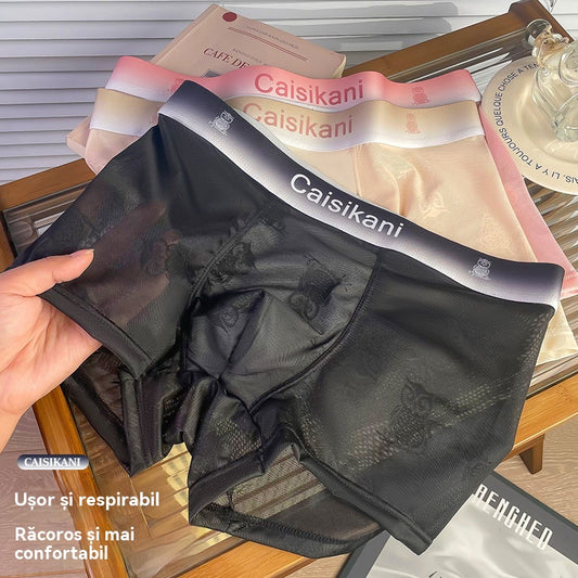 🎁【5 piezas】【L-4XL】Ropa interior de malla fina, transparente, sexy y transpirable para hombre