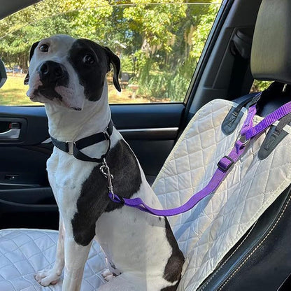 [2 pieza 23 euros] Cinturón de seguridad para perros y correa para pasear (2 en 1)