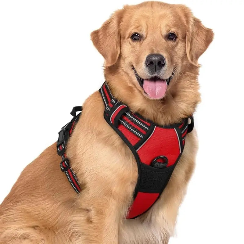 🦮Correa antitirones diseñada para perros