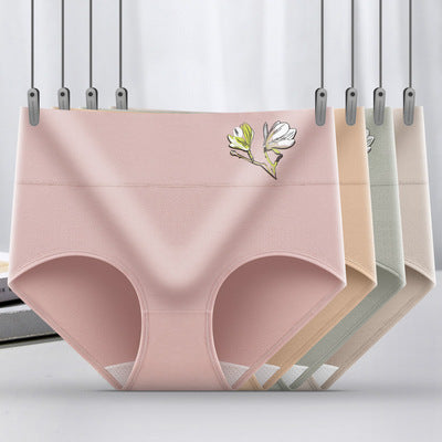🌟【L-XXL】【Más vendidos】1 juego (6 uds) de bragas antibacterianas de algodón que no dejan marcas