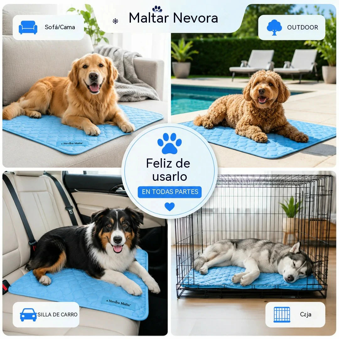 📢 ¡50 % de descuento 🔥! Alfombrilla refrescante para mascotas (no requiere llenado de agua) 🧊 — Fabricada en tejido Oxford transpirable; apta para todo tipo de camas o jaulas para mascotas.