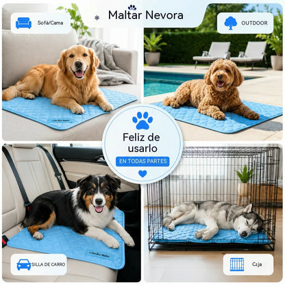 📢 ¡50 % de descuento 🔥! Alfombrilla refrescante para mascotas (no requiere llenado de agua) 🧊 — Fabricada en tejido Oxford transpirable; apta para todo tipo de camas o jaulas para mascotas.