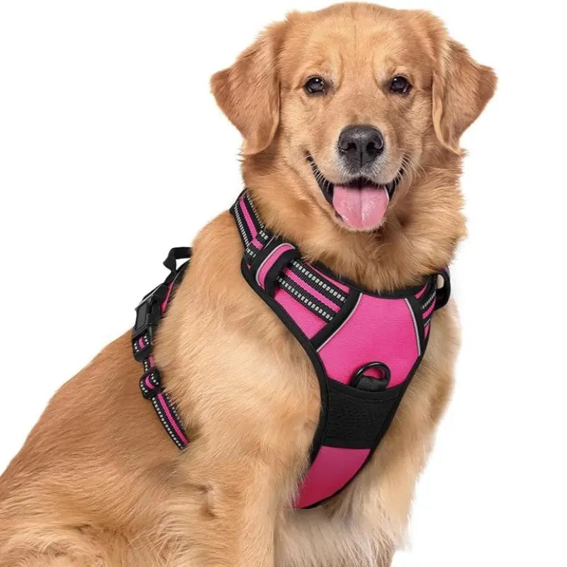 🦮Correa antitirones diseñada para perros