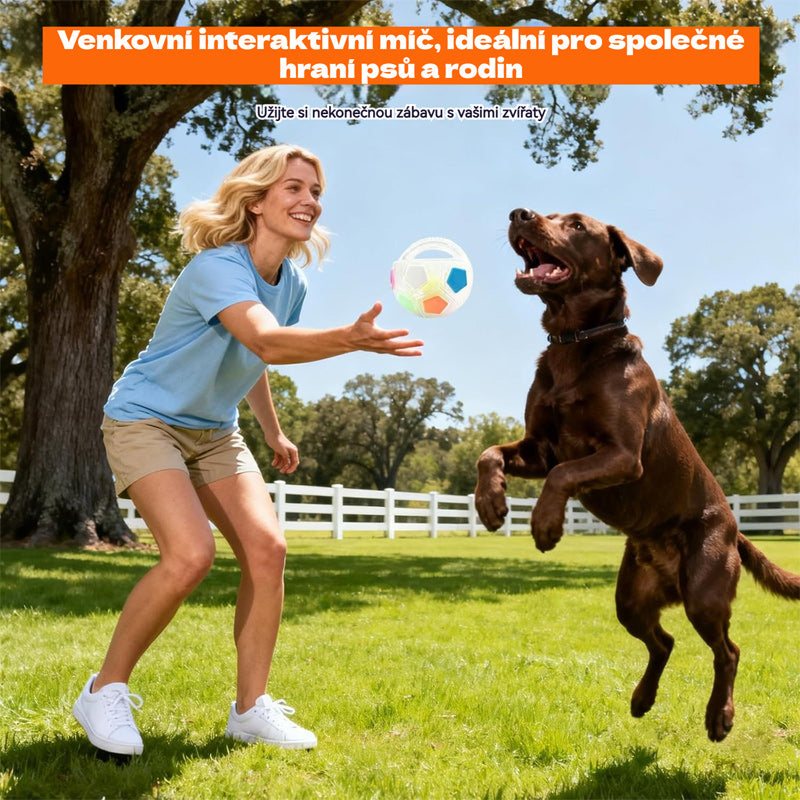 ⚽🐕🔥Hračka pro psy - fotbal, interaktivní a proti kousnutí odolné potřeby pro border kolie, labradory a corgi.