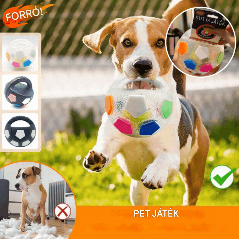 ⚽🐕🔥Kutyajáték - focilabda, interaktív harapásbiztos kiegészítő, border collie-knak, labradoroknak és corgi kutyáknak. - 4202062