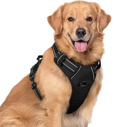 🦮Correa antitirones diseñada para perros