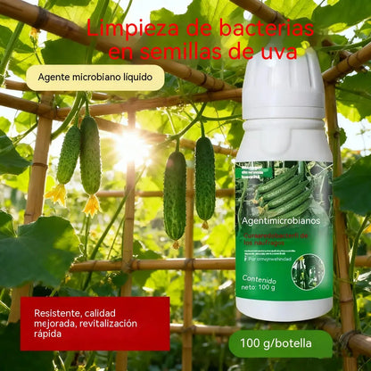 🥒【3 botellas(se puede diluir con 150 kg de agua)】Fungicida sistémico para pepinos – Control eficaz de bacteriosis, manchas amarillas y enfermedades foliares
