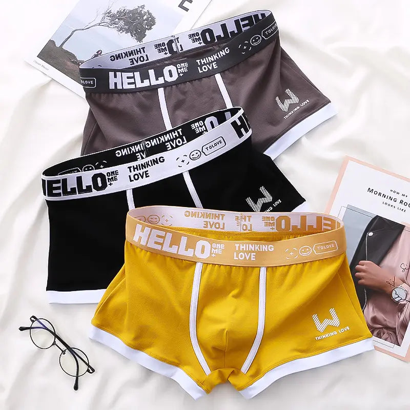 ⏳⏳[Oferta por tiempo limitado]🔥【6 piezas】Calzoncillos bóxer de algodón para hombre nuevos