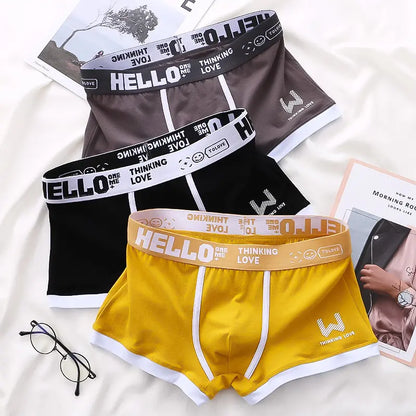 ⏳⏳[Oferta por tiempo limitado]🔥【6 piezas】Calzoncillos bóxer de algodón para hombre nuevos