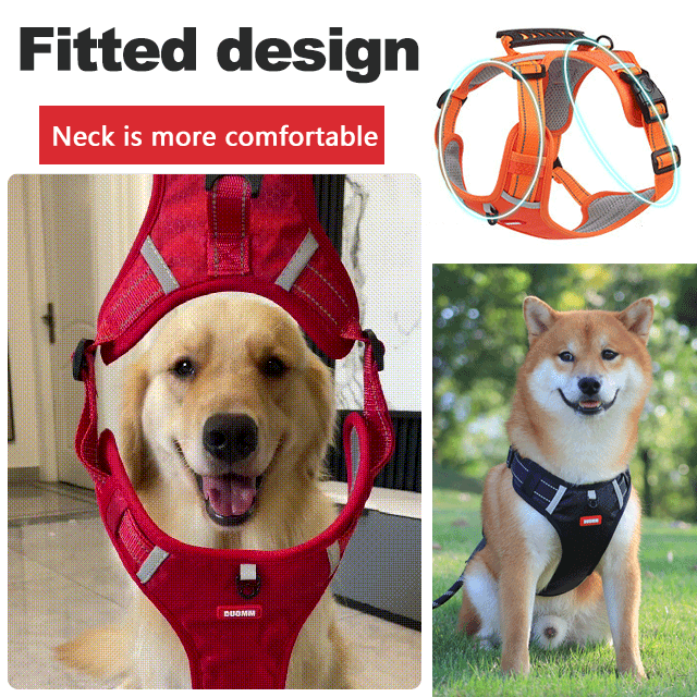 🐶【5–30 kg】Vodítko pro psy s postrojem, proti tahání, pro domácí mazlíčky.