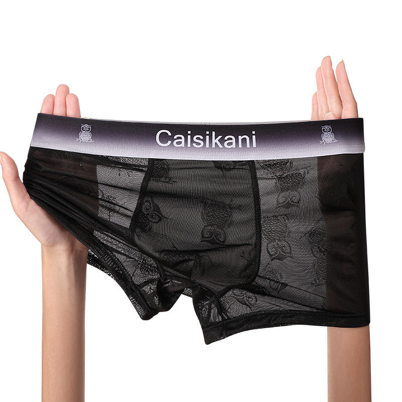 🎁【5 piezas】【L-4XL】Ropa interior de malla fina, transparente, sexy y transpirable para hombre