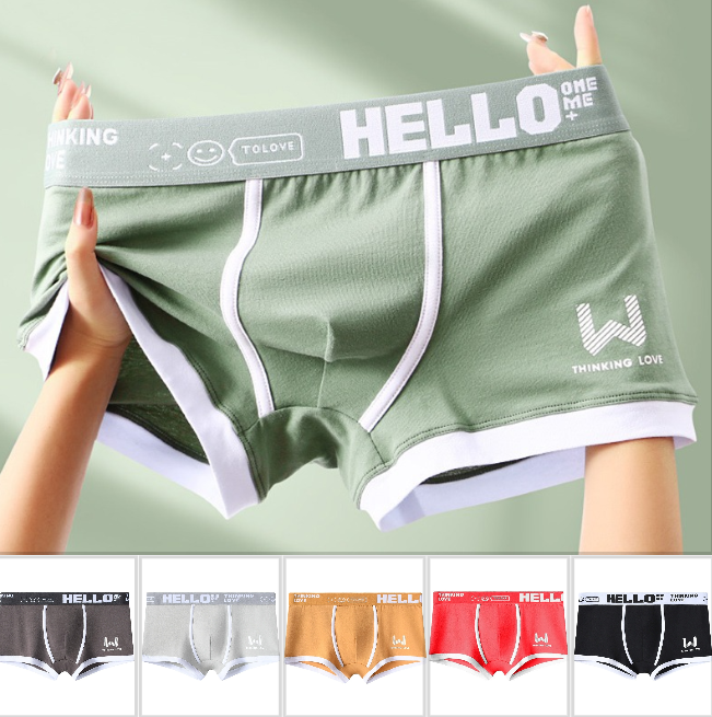 ⏳⏳[Oferta por tiempo limitado]🔥【6 piezas】Calzoncillos bóxer de algodón para hombre nuevos