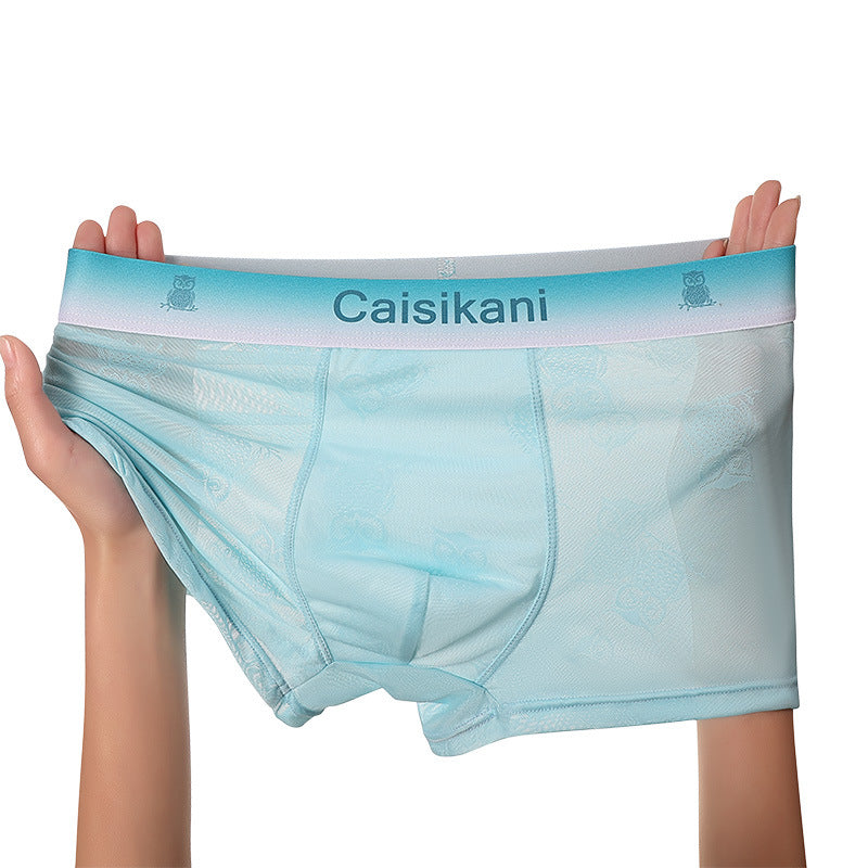 🎁【5 piezas】【L-4XL】Ropa interior de malla fina, transparente, sexy y transpirable para hombre