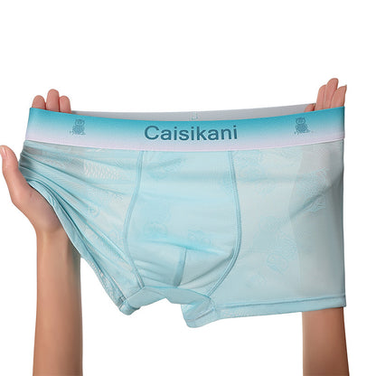 🎁【5 piezas】【L-4XL】Ropa interior de malla fina, transparente, sexy y transpirable para hombre